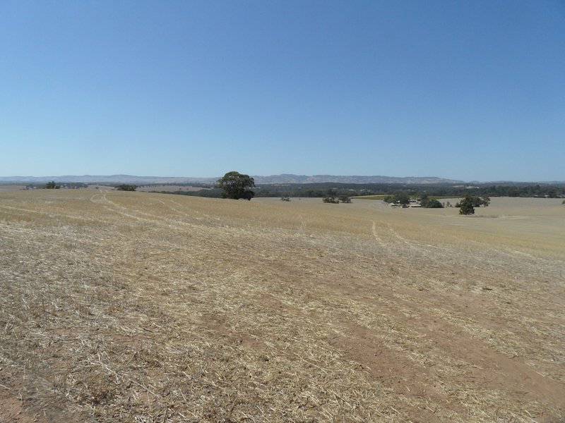 Photo - Lot 4 Mugge Road, Sandy Creek SA 5350 - Image 8