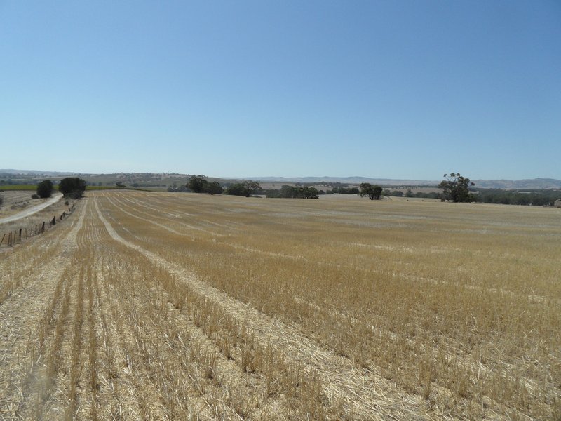 Photo - Lot 4 Mugge Road, Sandy Creek SA 5350 - Image 9