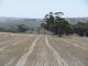 Photo - Lot 4 Mugge Road, Sandy Creek SA 5350 - Image 12