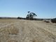 Photo - Lot 4 Mugge Road, Sandy Creek SA 5350 - Image 15