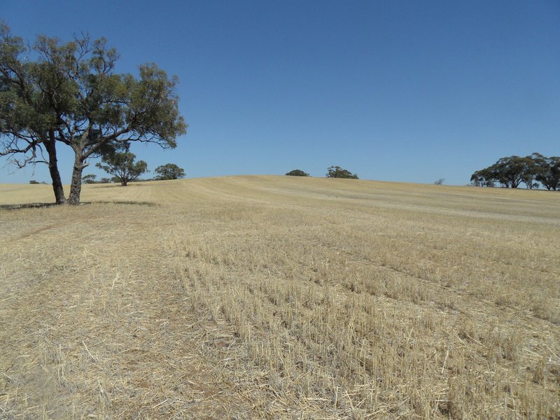 Photo - Lot 4 Mugge Road, Sandy Creek SA 5350 - Image 16