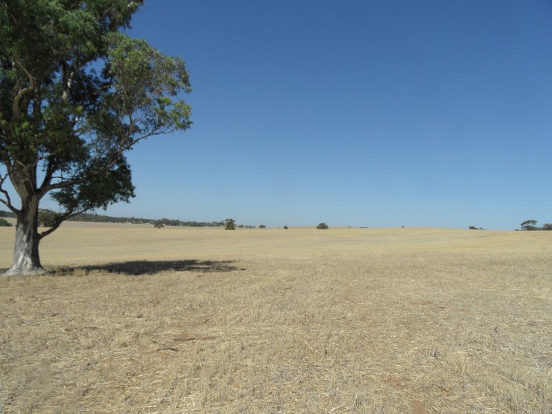 Photo - Lot 4 Mugge Road, Sandy Creek SA 5350 - Image 17