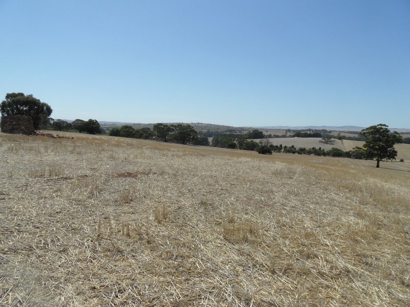 Photo - Lot 4 Mugge Road, Sandy Creek SA 5350 - Image 19