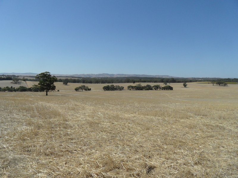 Photo - Lot 4 Mugge Road, Sandy Creek SA 5350 - Image 20