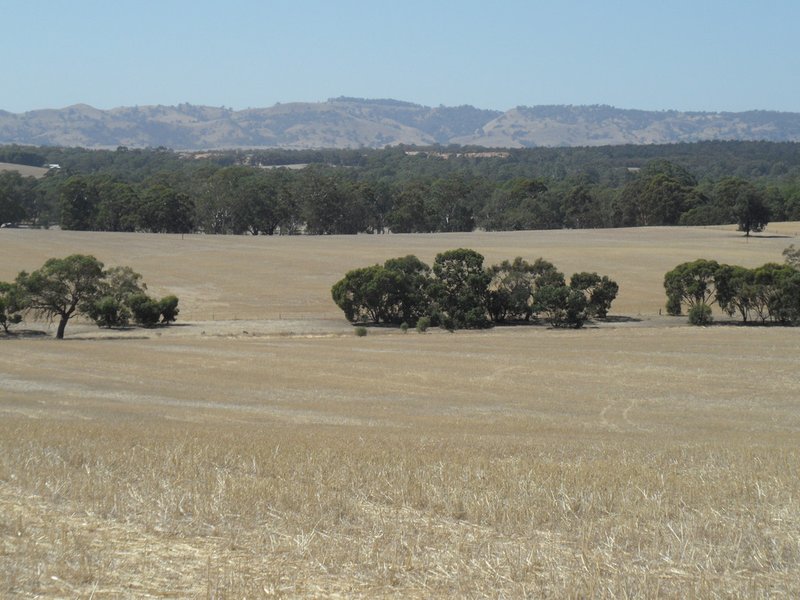 Photo - Lot 4 Mugge Road, Sandy Creek SA 5350 - Image 21