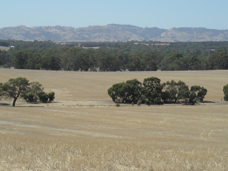 Photo - Lot 4 Mugge Road, Sandy Creek SA 5350 - Image 22