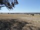 Photo - Lot 4 Mugge Road, Sandy Creek SA 5350 - Image 24