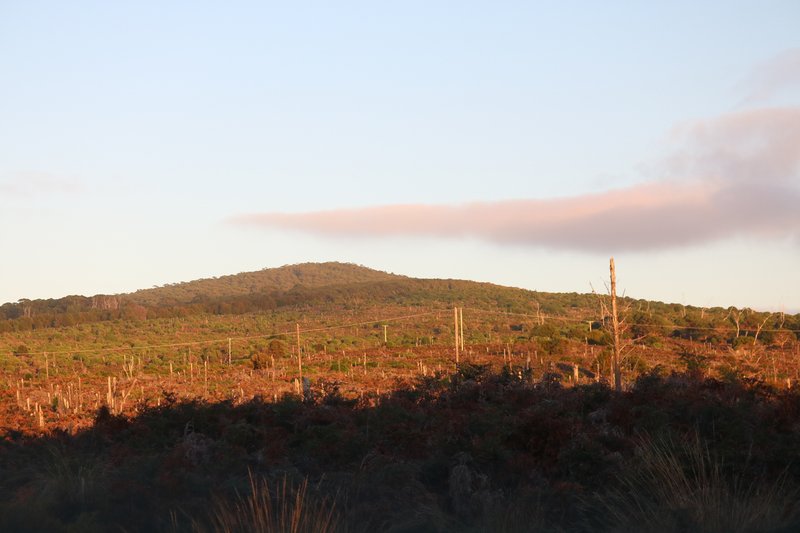 Photo - Lot 4 North East River Road, Palana TAS 7255 - Image 2