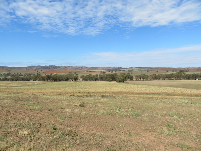 Photo - Lot 4 Old Hume Highway (Mundarlo Rd) , Tumblong NSW 2729 - Image 2