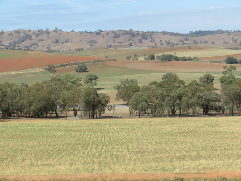 Photo - Lot 4 Old Hume Highway (Mundarlo Rd) , Tumblong NSW 2729 - Image 3
