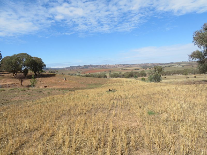 Photo - Lot 4 Old Hume Highway (Mundarlo Rd) , Tumblong NSW 2729 - Image 6