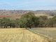 Photo - Lot 4 Old Hume Highway (Mundarlo Rd) , Tumblong NSW 2729 - Image 7