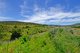 Photo - Lot 4 Possum Road, Bridgewater TAS 7030 - Image 3