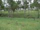 Photo - Lot 4 Tooloorum Road, Bryden QLD 4312 - Image 3