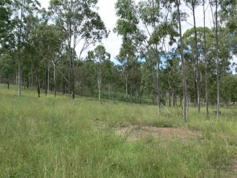 Photo - Lot 4 Tooloorum Road, Bryden QLD 4312 - Image 6