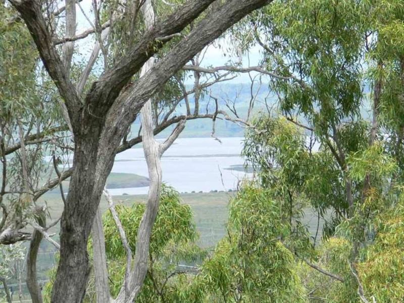 Photo - Lot 4 Tooloorum Road, Bryden QLD 4312 - Image 9