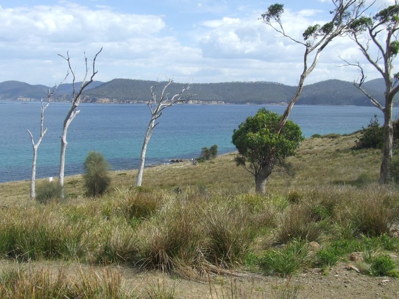 Photo - Lot 4 White Beach Road, White Beach TAS 7184 - Image 11