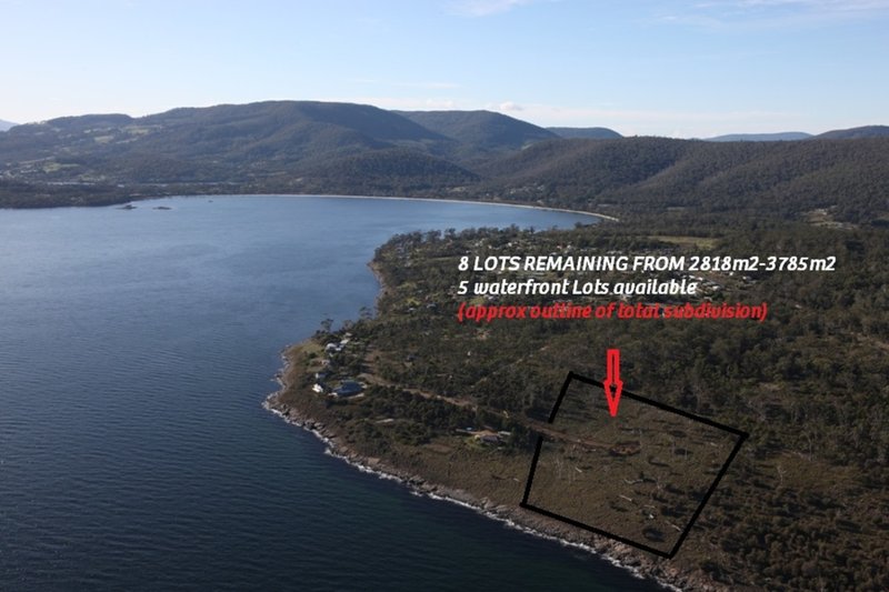 Photo - Lot 4 White Beach Road, White Beach TAS 7184 - Image 13