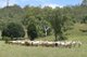 Photo - Lot 40 Lake Manchester Road, Lake Manchester QLD 4306 - Image 9