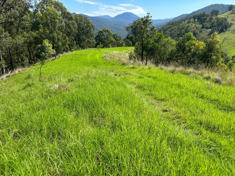 Photo - Lot 40 Off Carrowbrook Road, Carrowbrook , Singleton NSW 2330 - Image 8