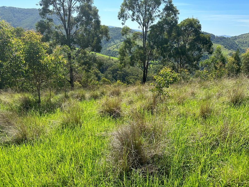 Photo - Lot 40 Off Carrowbrook Road, Carrowbrook , Singleton NSW 2330 - Image 9