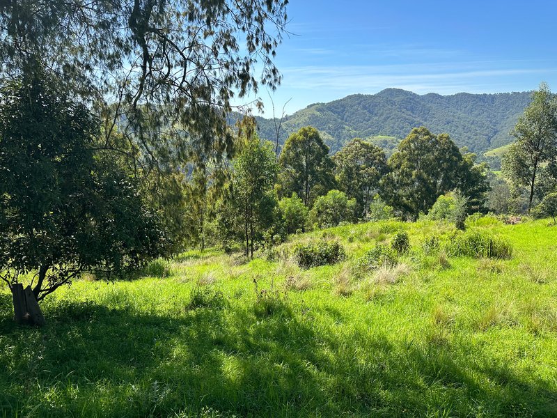 Photo - Lot 40 Off Carrowbrook Road, Carrowbrook , Singleton NSW 2330 - Image 10