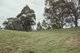 Photo - Lot 40 Off Carrowbrook Road, Carrowbrook , Singleton NSW 2330 - Image 14