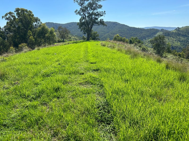 Photo - Lot 40 Off Carrowbrook Road, Carrowbrook , Singleton NSW 2330 - Image 17