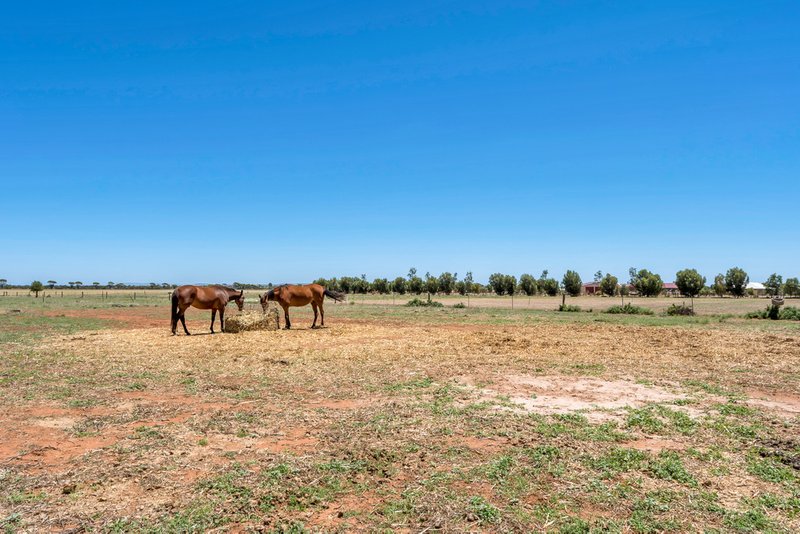 Photo - Lot 40 Racecourse Road, Balaklava SA 5461 - Image 19