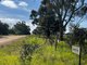 Photo - Lot 401 Burts Road, Dutton SA 5356 - Image 2