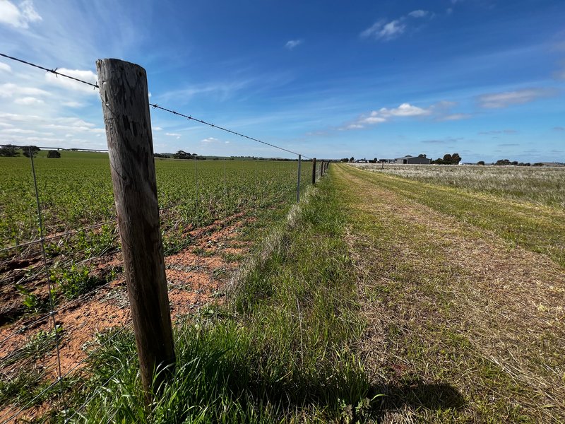 Photo - Lot 401 Burts Road, Dutton SA 5356 - Image 6