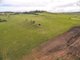 Photo - Lot 401 Sanctuary Drive, Goulburn NSW 2580 - Image 5