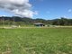 Photo - Lot 41 Botanica Drive, Cannonvale QLD 4802 - Image 4