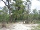 Photo - Lot 41 Duckinwilla Road, Howard QLD 4659 - Image 1