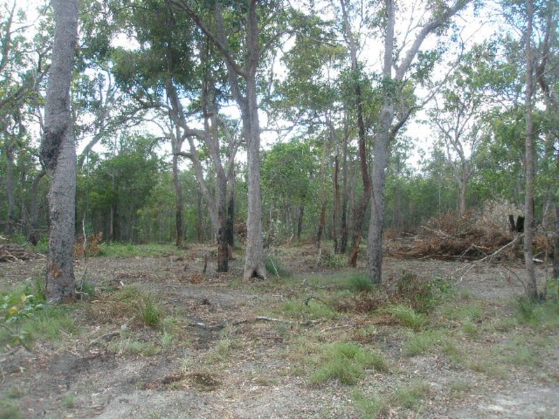 Photo - Lot 41 Duckinwilla Road, Howard QLD 4659 - Image 16