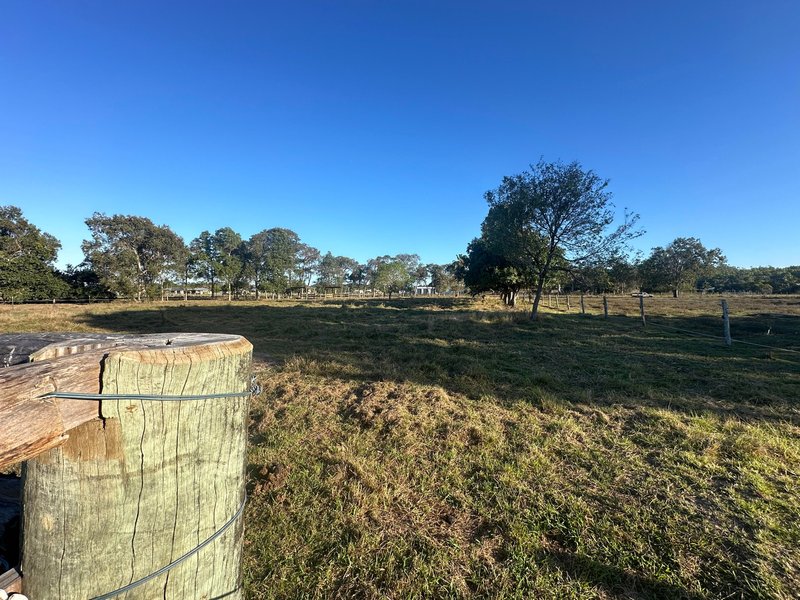 Photo - Lot 41 Hans Christian Street, Sarina QLD 4737 - Image 5