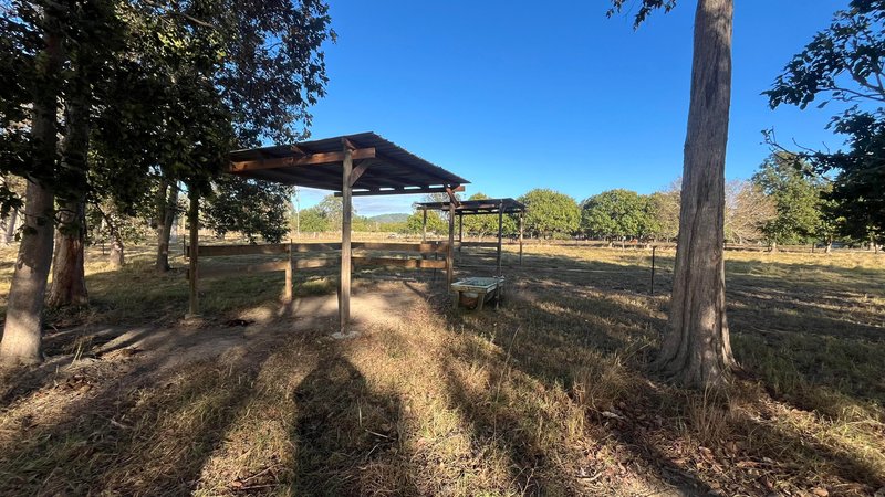 Photo - Lot 41 Hans Christian Street, Sarina QLD 4737 - Image 10