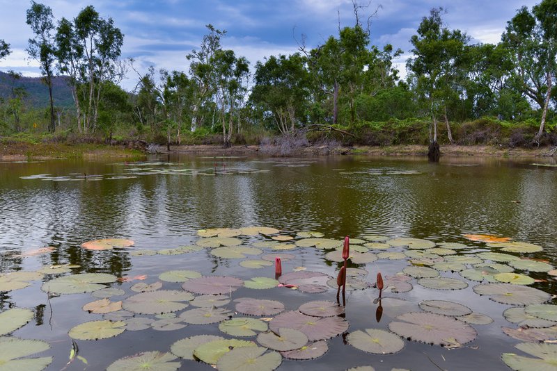 Lot 42 Hideaway Bay Drive, Hideaway Bay QLD 4800 Real Estate Industry