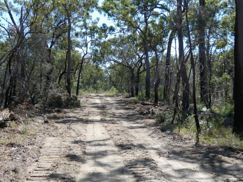 Photo - Lot 42 Pacific Drive, Deepwater QLD 4674 - Image 3