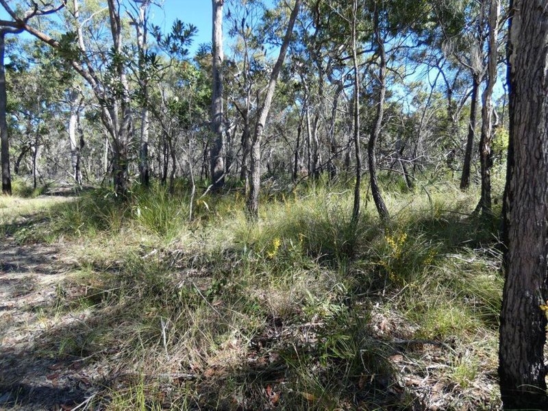 Photo - Lot 42 Pacific Drive, Deepwater QLD 4674 - Image 4