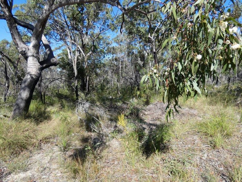 Photo - Lot 42 Pacific Drive, Deepwater QLD 4674 - Image 9