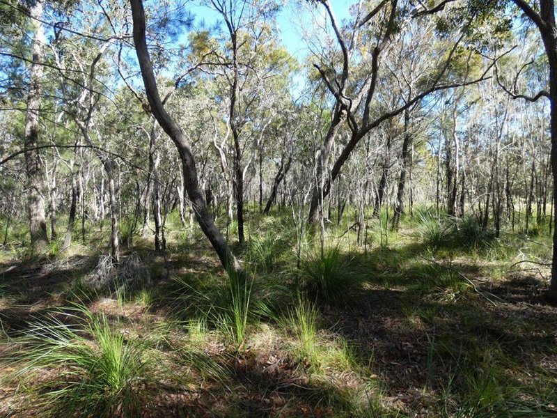 Photo - Lot 42 Pacific Drive, Deepwater QLD 4674 - Image 13