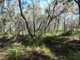 Photo - Lot 42 Pacific Drive, Deepwater QLD 4674 - Image 13