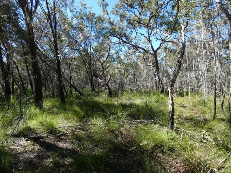 Photo - Lot 42 Pacific Drive, Deepwater QLD 4674 - Image 14