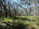 Photo - Lot 42 Pacific Drive, Deepwater QLD 4674 - Image 14