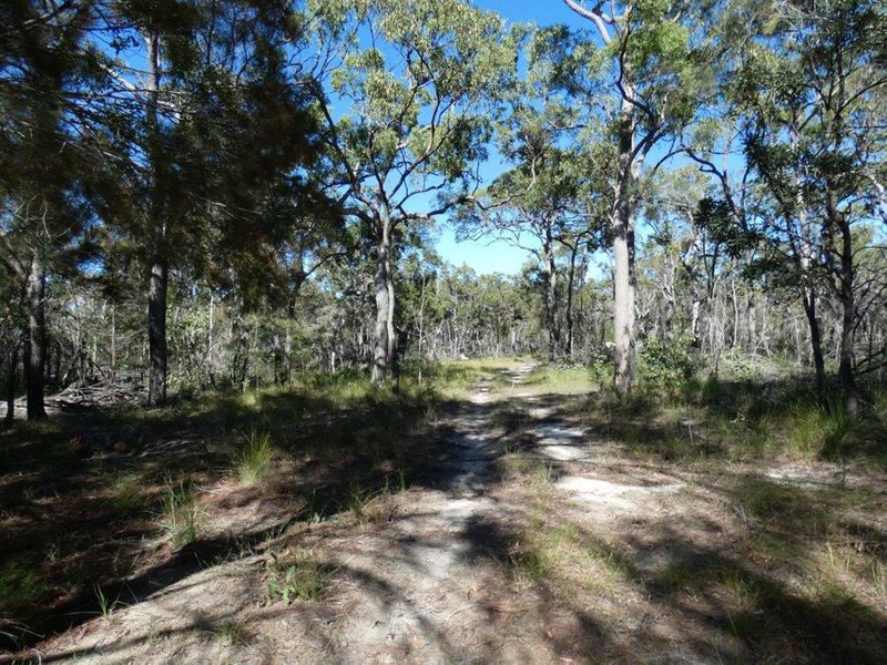 Photo - Lot 42 Pacific Drive, Deepwater QLD 4674 - Image 15