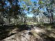 Photo - Lot 42 Pacific Drive, Deepwater QLD 4674 - Image 15