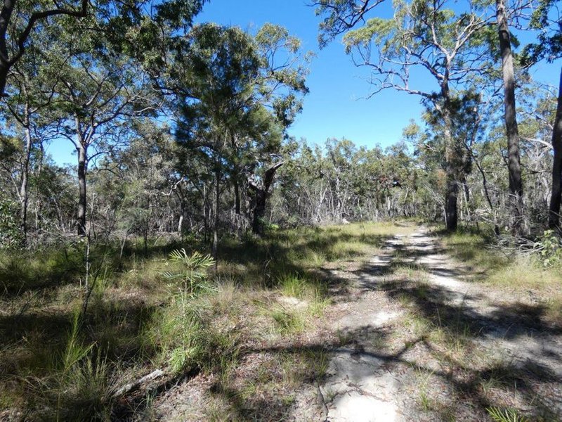 Photo - Lot 42 Pacific Drive, Deepwater QLD 4674 - Image 16