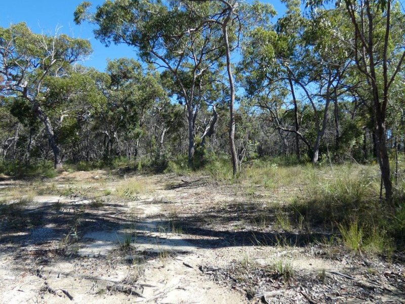 Photo - Lot 42 Pacific Drive, Deepwater QLD 4674 - Image 20