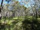 Photo - Lot 42 Pacific Drive, Deepwater QLD 4674 - Image 25